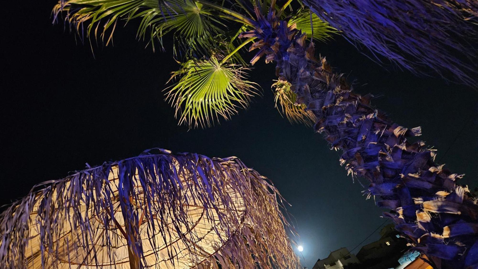 Elli Tropical Suites Mykonos Town Exteriér fotografie