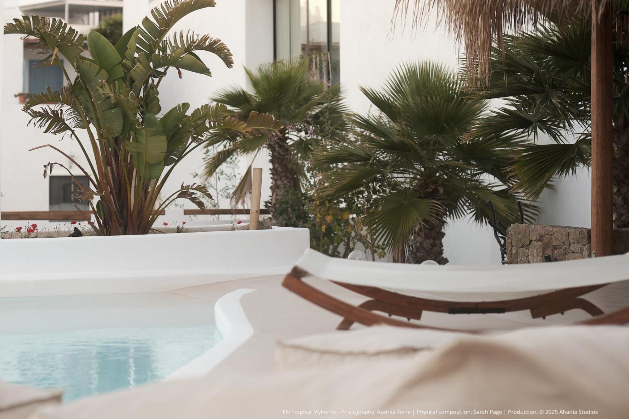 Elli Tropical Suites Mykonos Town Exteriér fotografie
