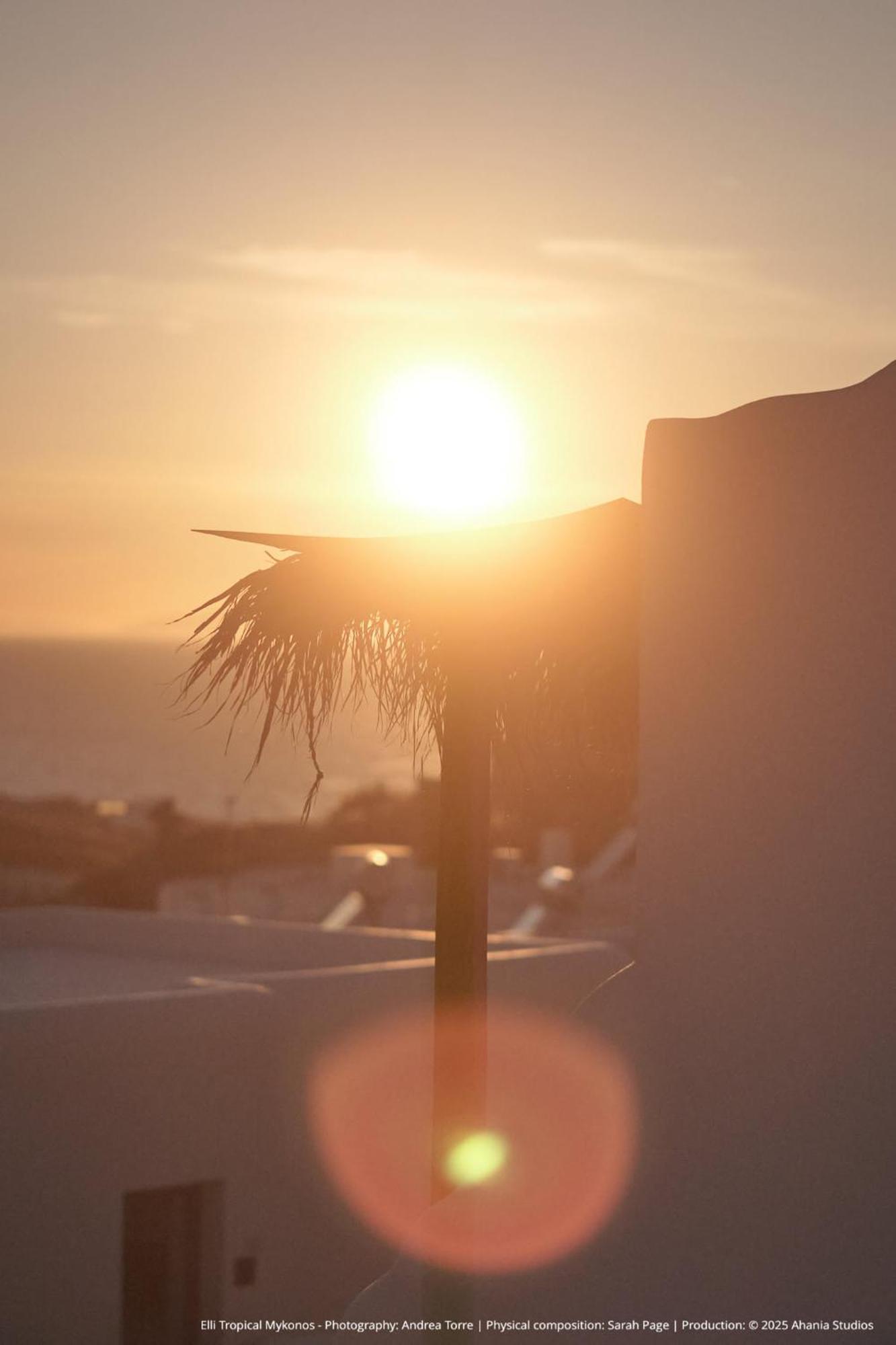 Elli Tropical Suites Mykonos Town Exteriér fotografie