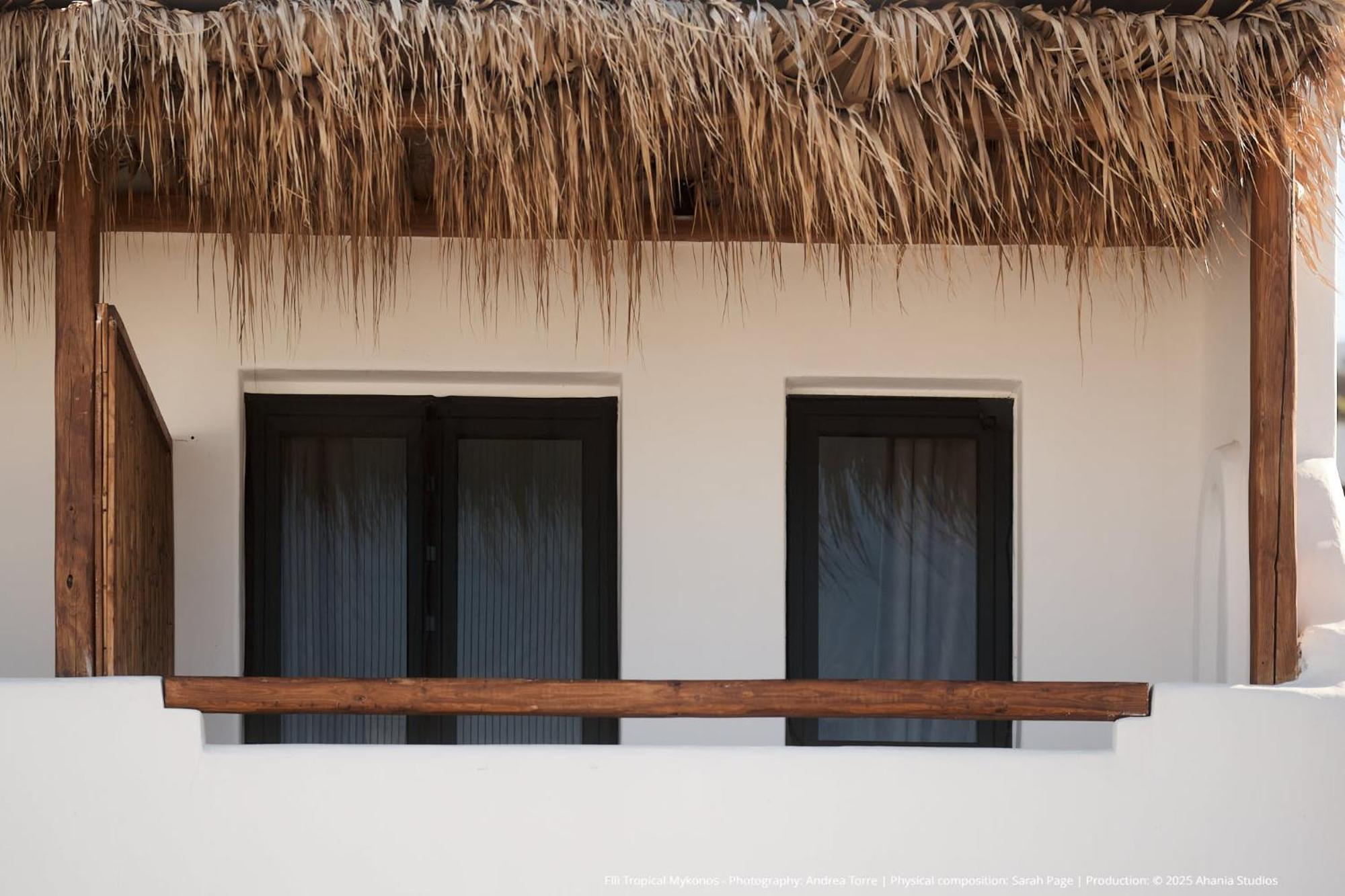 Elli Tropical Suites Mykonos Town Exteriér fotografie